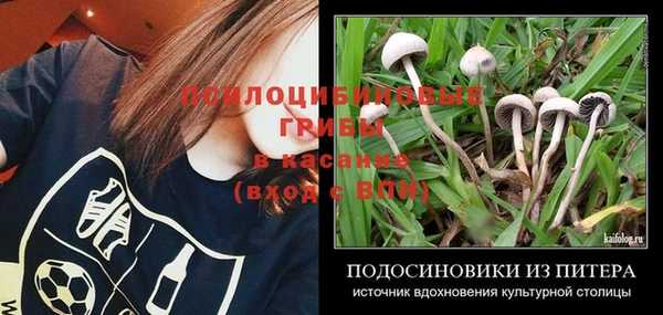 СК Лихославль