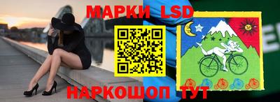 крисы Новозыбков