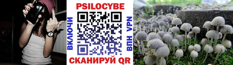 закладка  Рассказово  Галлюциногенные грибы мицелий 