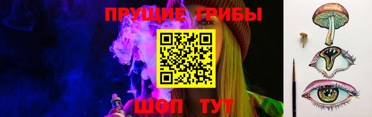 Галлюциногенные грибы Psilocybe  Галлюциногенные грибы Psilocybe  Рассказово  Вход с VPN 