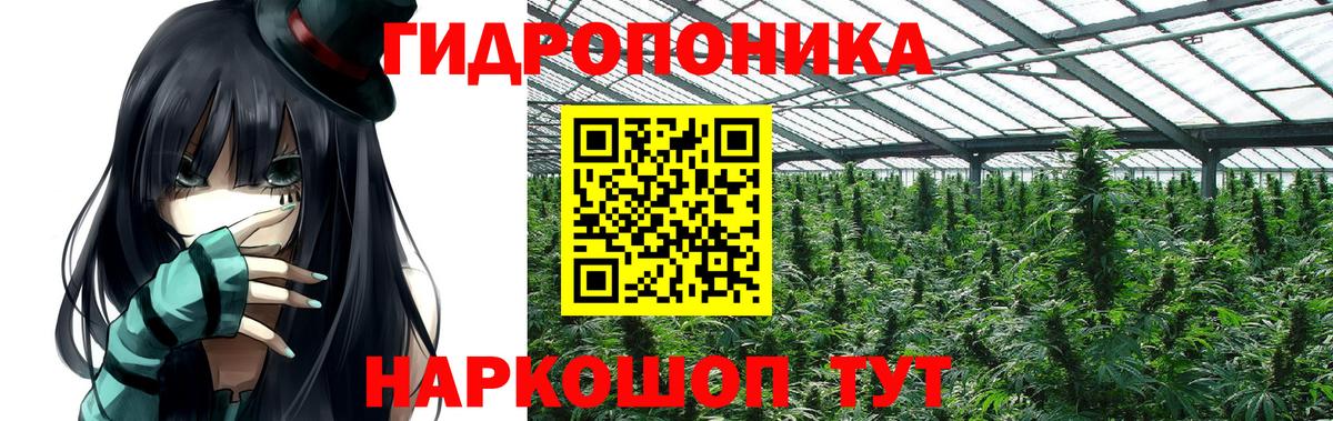 Марихуана тримм  Вход с VPN  Рассказово  Конопля MAZAR  Бошки марихуана VHQ 